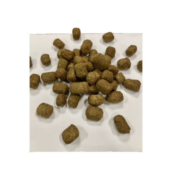 Friandise pour chiens